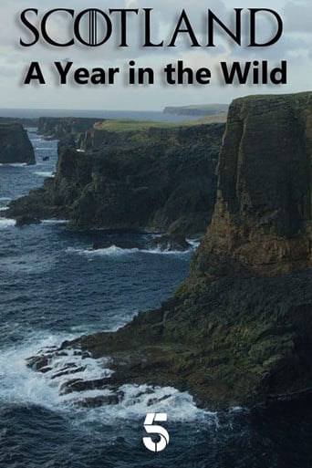 Scotland: A Year In The Wild poster