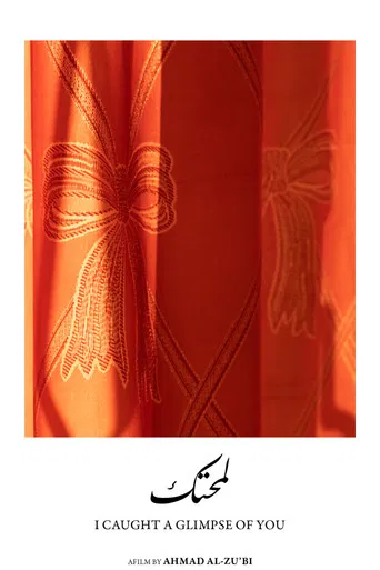 I Caught a Glimpse of You poster