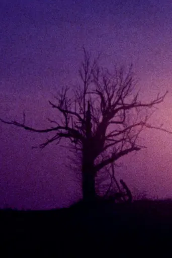 Fainter Echoes poster