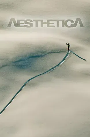 Aesthetica poster
