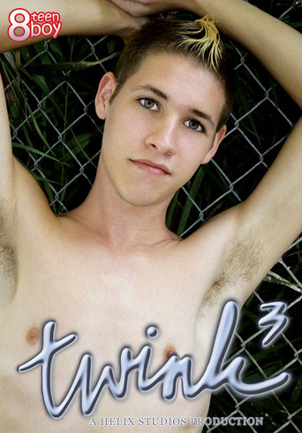 Twink 3 poster
