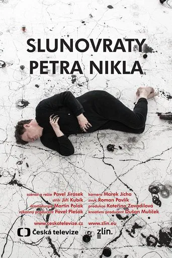 The Solstices of Petr Nikl poster