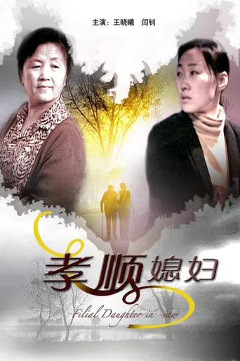 孝顺媳妇 poster