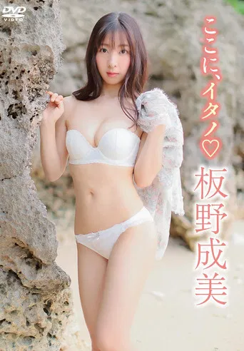 板野成美 / ここにイタノ poster