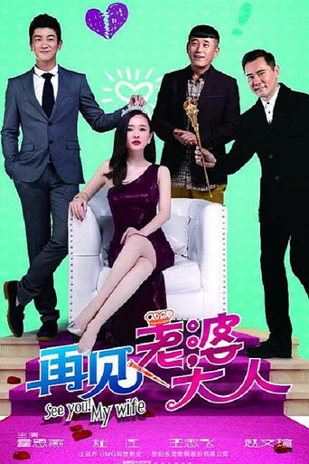 再见老婆大人 poster