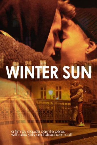 Winter Sun poster