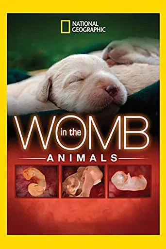In The Womb: Animals poster