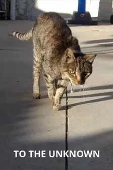 To the Unknown poster