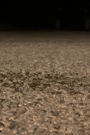 Snails Steadily Stroll the Street 2: Diligent Dirt-Dwellers Dash (Snails Steadily Stroll Lenin Nightcore Remix) poster