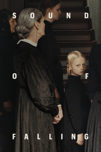 Sound of Falling poster