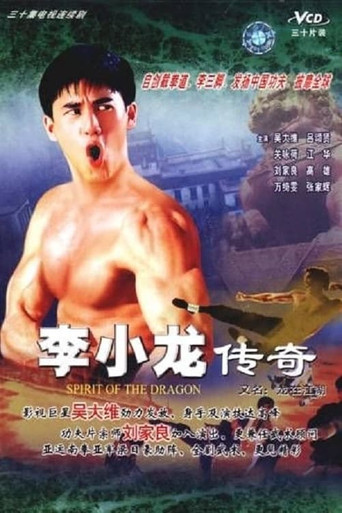Spirit of the Dragon poster