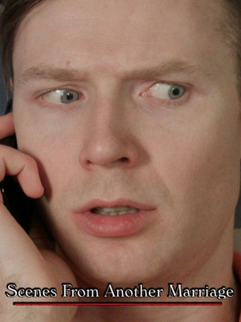 Scenes from Another Marriage poster