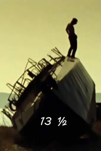 13½ poster