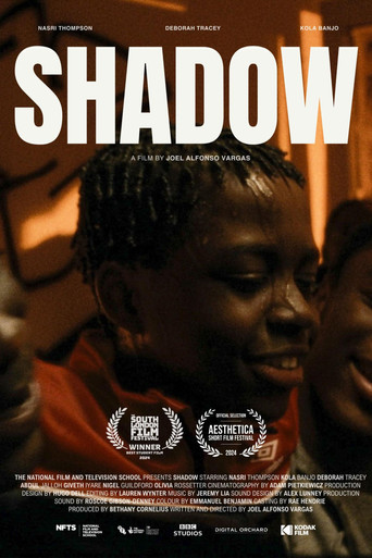 Shadow poster