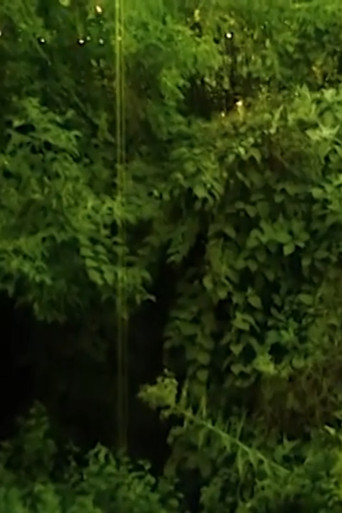 I love the sound cicadas make. poster