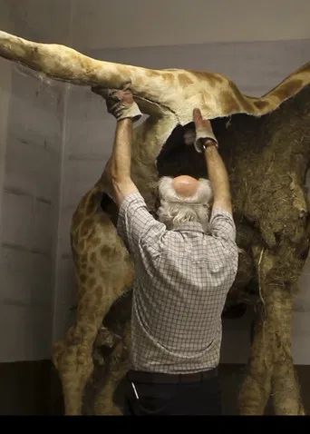 Palimpsest of the Africa Museum poster