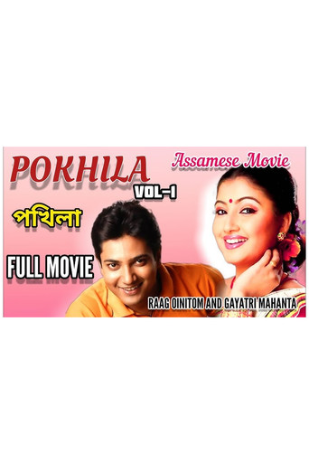 Pokhila poster