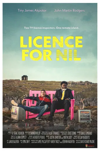 Licence for Nil poster