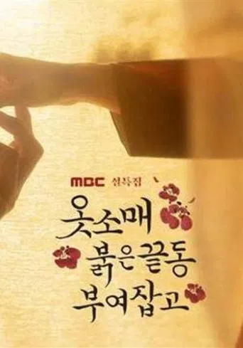 The Red Sleeve Talk Show poster