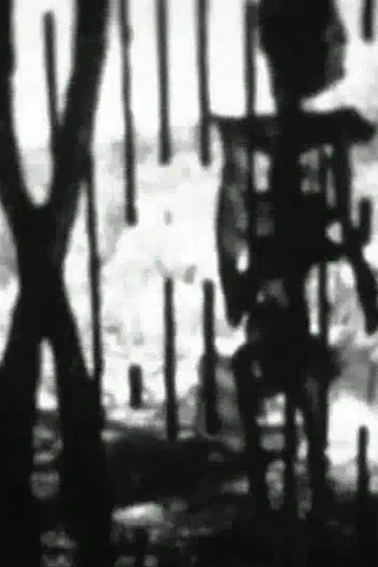 Feature Presentation poster