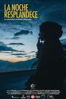 The Night Shines poster