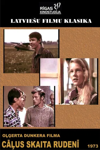 Chicken Get Counted In The Autumn poster