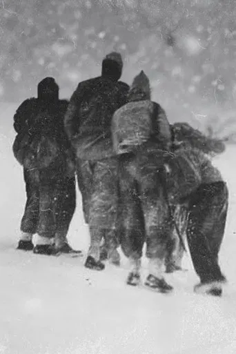 The Horrors of Becoming Lost poster