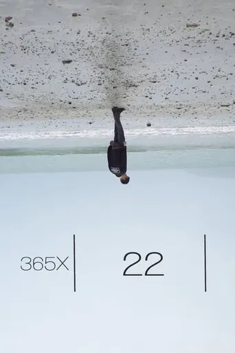365x: 22 poster