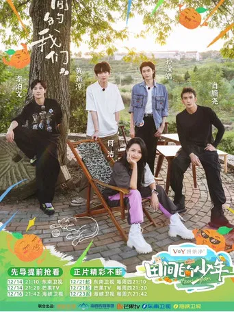 田间的少年 poster