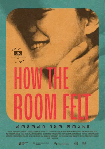 How the Room Felt poster