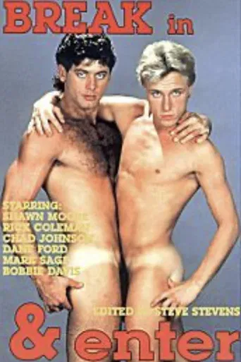 Break In & Enter poster