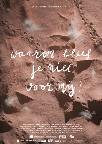 Why Didn’t You Stay for Me? poster