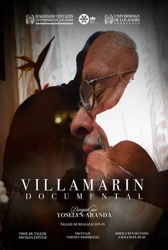 Villamarín poster