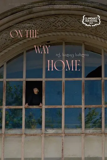 On the Way Home poster