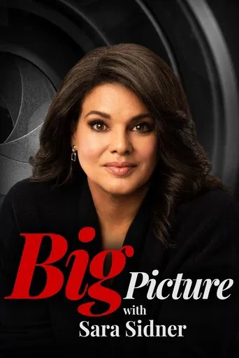 Big Picture with Sara Sidner poster