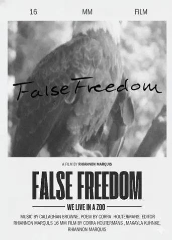 False Freedom poster