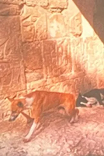 God The Pugilist poster