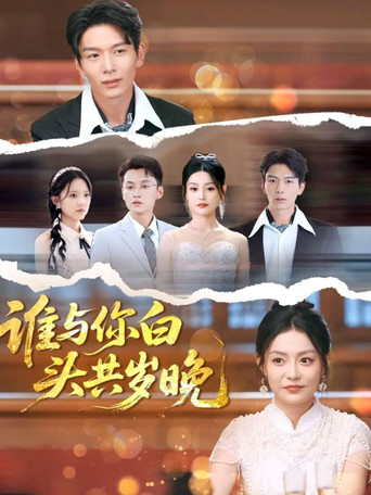 谁与你白头共岁晚 poster