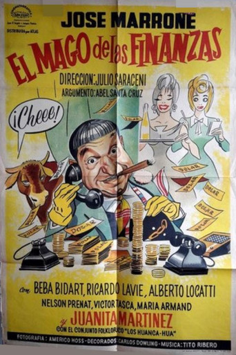 El mago de las finanzas poster