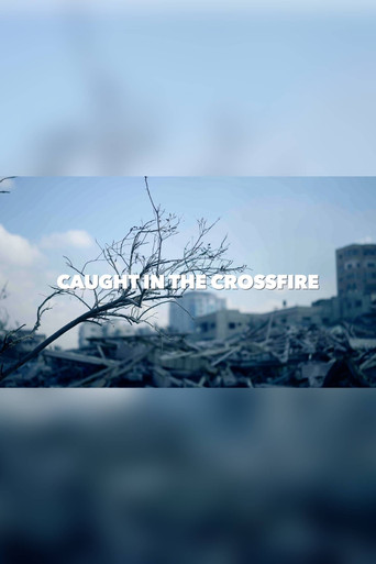 Caught in the crossfire poster