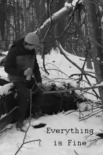 Everything is Fine poster