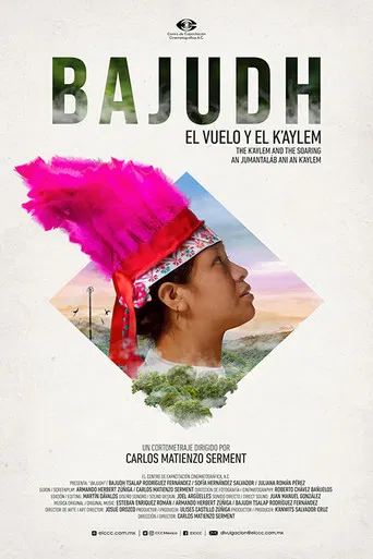 Bajudh poster