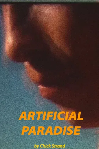 Artificial Paradise poster