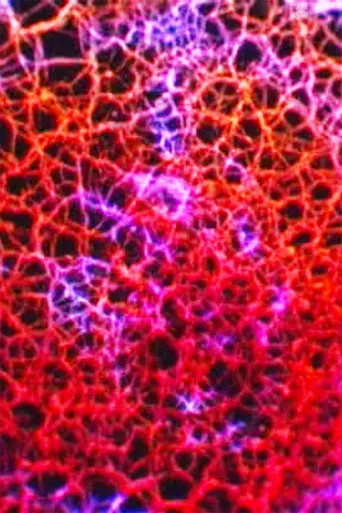 Direction Finder poster