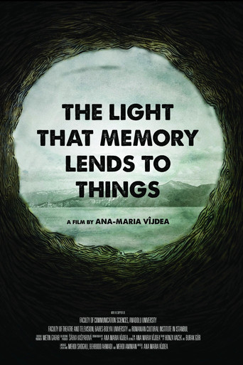 The Light That Memory Lends to Things poster