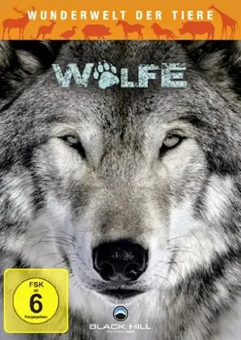 Wunderwelt der Tiere - Wölfe poster