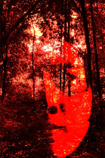 The Fuckee's Hymn poster