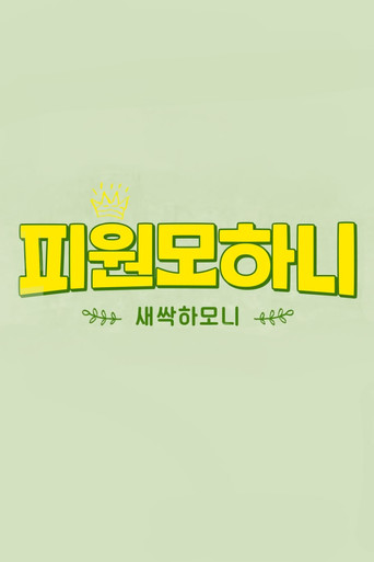 Saessak Harmony poster