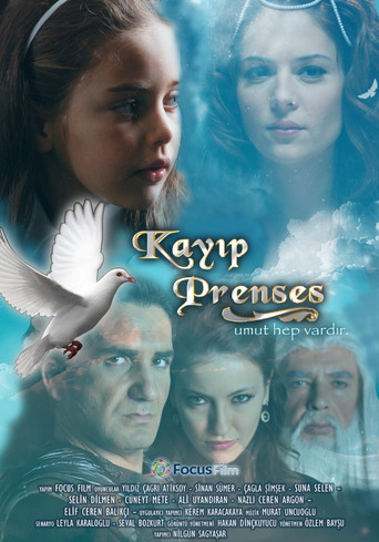 Kayıp Prenses poster