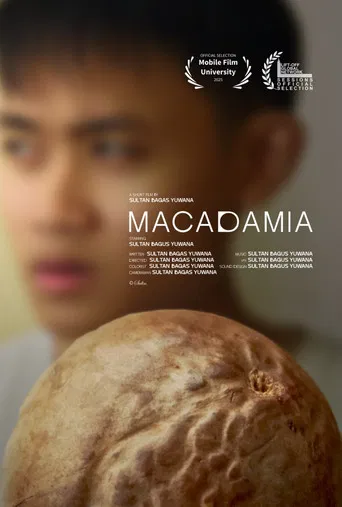 Macadamia poster